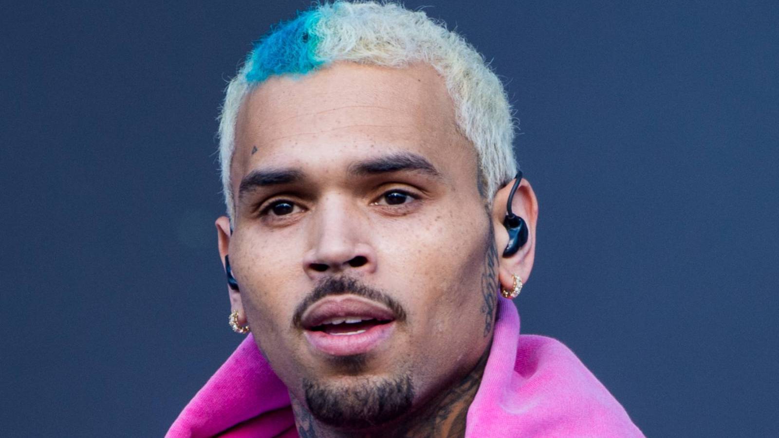 Chris Brown’s Company Loses Bid to Dismantle Dog Bite Lawsuit!