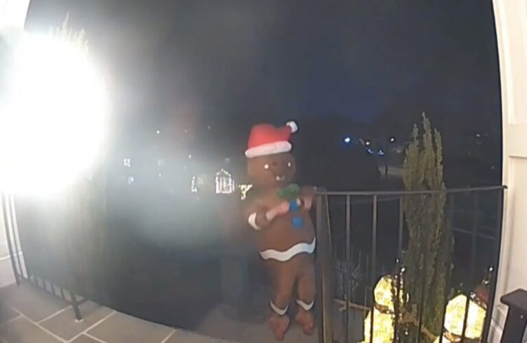 Virginia Man Disguised As A Gingerbread Man Was Disturbingly Walking …